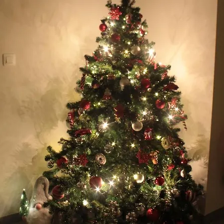 Maison Durbois 4* デュルビュイ