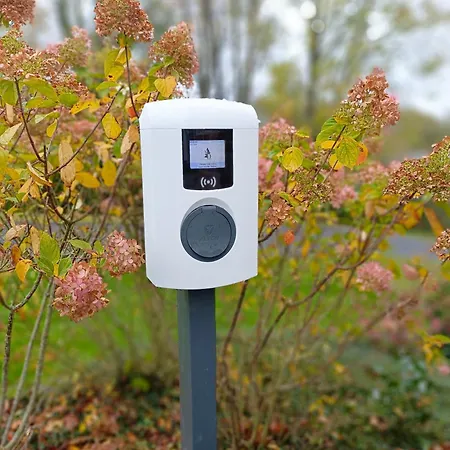 Maison Durbois ベッド・アンド・ブレックファスト 4*