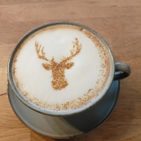 Maison Durbois ベッド・アンド・ブレックファスト 4*